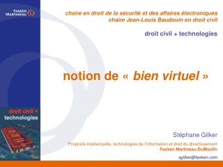 notion de «  bien virtuel  »