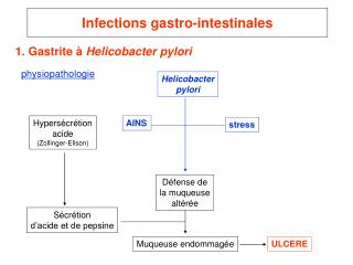 Infections gastro-intestinales