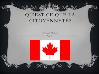 Qu’est ce que la citoyenneté?