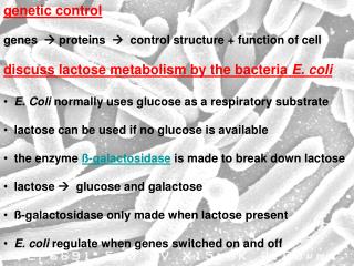 genetic control genes  proteins  control structure + function of cell