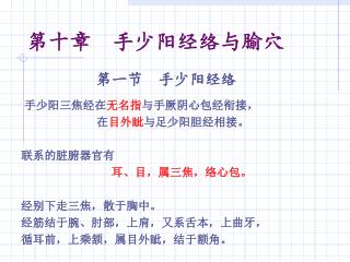 第十章 手少阳经络与腧穴