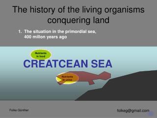 The history of the living organisms conquering land