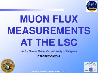 MUON FLUX MEASUREMENTS AT THE LSC