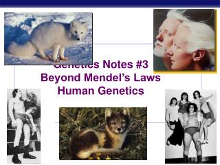 Genetics Notes #3 Beyond Mendel’s Laws Human Genetics