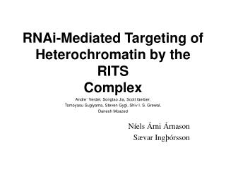 RNAi-Mediated Targeting of Heterochromatin by the RITS Complex