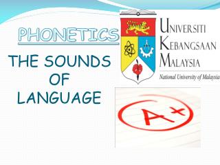 THE SOUNDS OF LANGUAGE