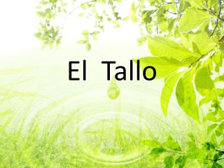 El Tallo