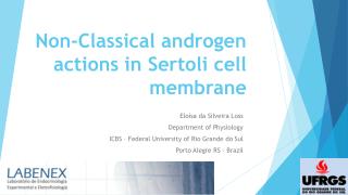 Non-Classical androgen actions in Sertoli cell membrane