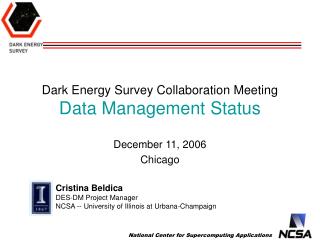 Dark Energy Survey Collaboration Meeting Data Management Status