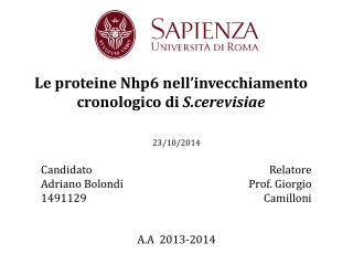 Le proteine Nhp6 nell’invecchiamento cronologico di S.cerevisiae