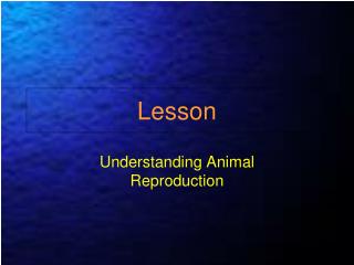 Lesson
