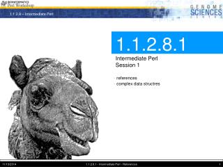 1.1.2.8.1 Intermediate Perl Session 1