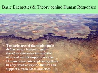 Basic Energetics &amp; Theory behind Human Responses