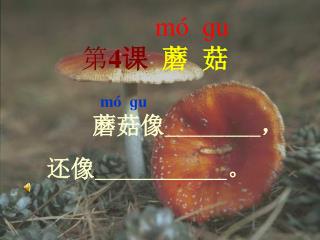 mó ɡ u 第 4 课 蘑 菇