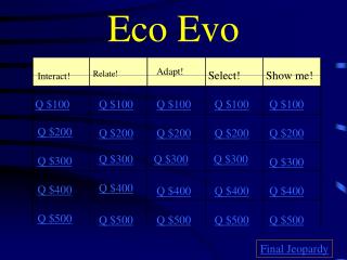 Eco Evo