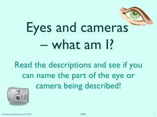 Eyes and cameras – what am I?