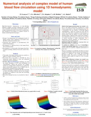 Numerical analysis of complex model of human blood flow circulation using 1D hemodynamic model