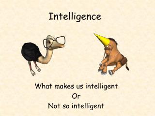 Intelligence