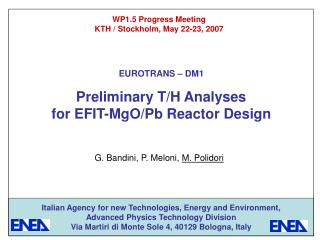 Preliminary T/H Analyses for EFIT-MgO/Pb Reactor Design