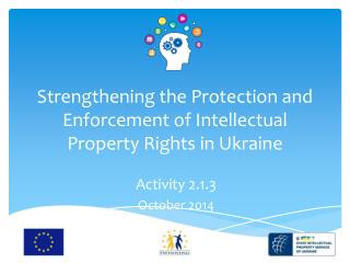 Strengthening the Protection and Enforcement of Intellectual Property Rights in Ukraine