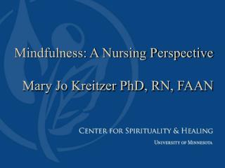 Mindfulness: A Nursing Perspective Mary Jo Kreitzer PhD, RN, FAAN