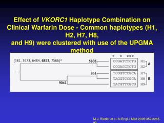 M.J. Rieder et al. N Engl J Med 2005;352:2285-93