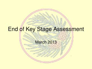 End of Key Stage Assessment