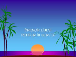 ÖRENCİK LİSESİ REHBERLİK SERVİSİ