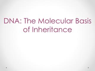 DNA: The Molecular Basis of Inheritance