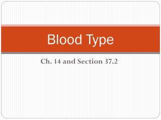 Blood Type
