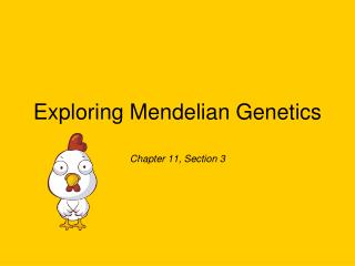 Exploring Mendelian Genetics