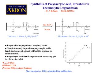 ● Prepared from poly (t -butyl acrylate) brush .