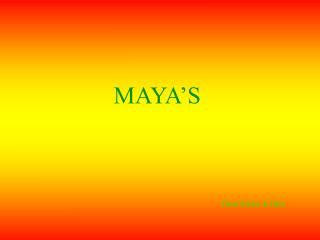 MAYA’S