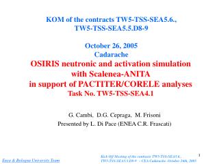 G. Cambi, D.G. Cepraga, M. Frisoni Presented by L. Di Pace (ENEA C.R. Frascati)