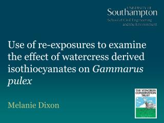 Use of re-exposures to examine the effect of watercress derived isothiocyanates on Gammarus pulex