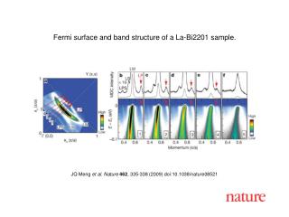 JQ Meng et al. Nature 462 , 335 - 338 (2009) doi:10.1038/nature08 521