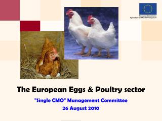 The European Eggs &amp; Poultry sector