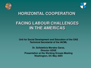 HORIZONTAL COOPERATION FACING LABOUR CHALLENGES IN THE AMERICAS