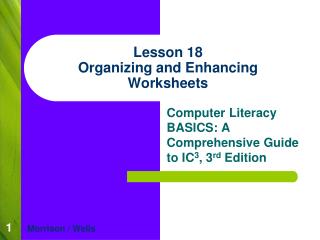 Lesson 18 Organizing and Enhancing Worksheets