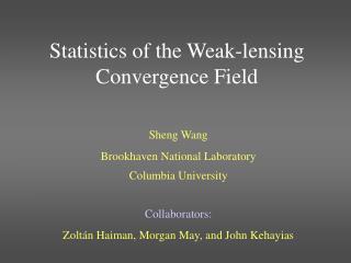 Statistics of the Weak-lensing Convergence Field