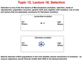 Topic 12. Lecture 18. Selection