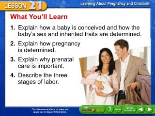 What You’ll Learn