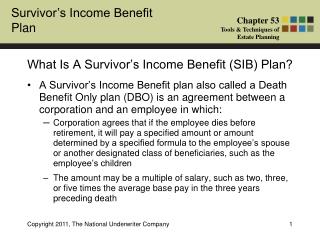 What Is A Survivor’s Income Benefit (SIB) Plan?