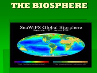 THE BIOSPHERE