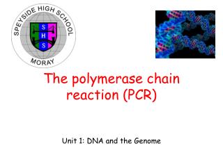 The polymerase chain reaction (PCR)