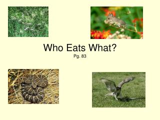 Who Eats What? Pg. 83