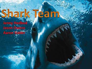 Shark Team