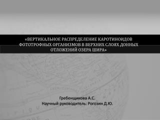 Гребенщикова А.С. Научный руководитель: Рогозин Д.Ю.
