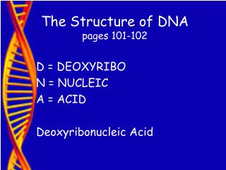 The Structure of DNA pages 101-102