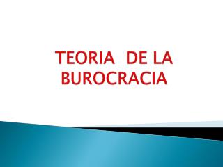 TEORIA DE LA BUROCRACIA